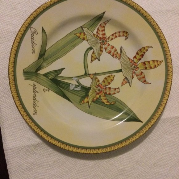 Set of 2 American Atelier Botanical Salad dessert plate stoneware floral orchid - Picture 3 of 4